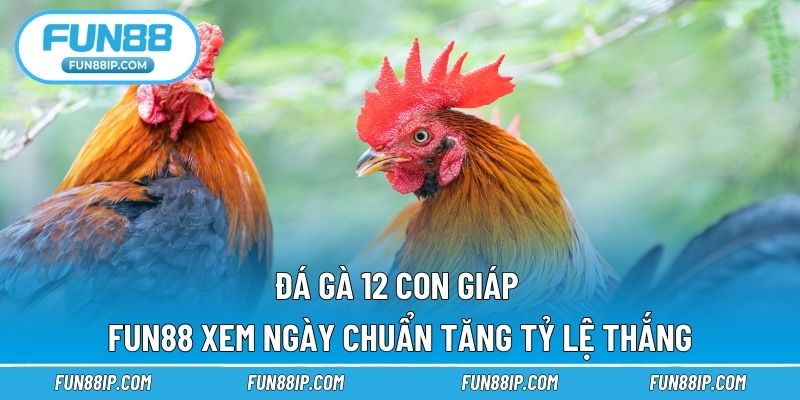 Đá Gà 12 Con Giáp