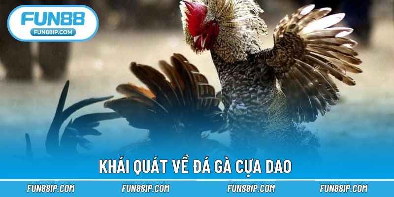 Khái quát về đá gà cựa dao 