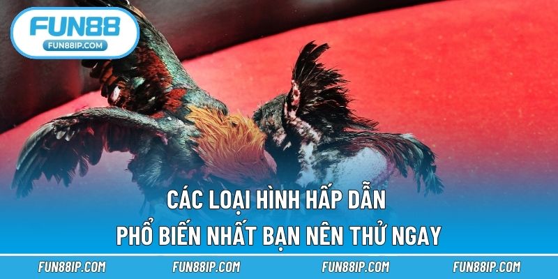 Các loại hình hấp dẫn phổ biến nhất bạn nên thử ngay