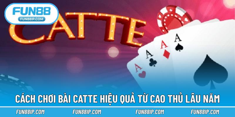 Cách chơi bài Catte hiệu quả từ cao thủ lâu năm