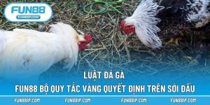 Luật đá gà FUN88